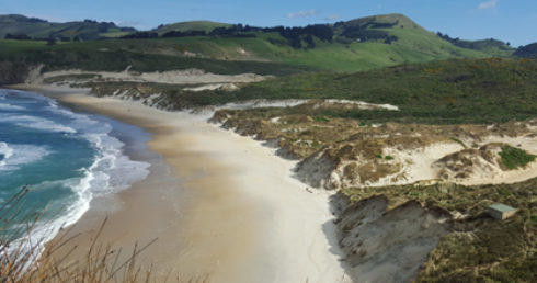 Lovers Leap Otago Peninsula Walk