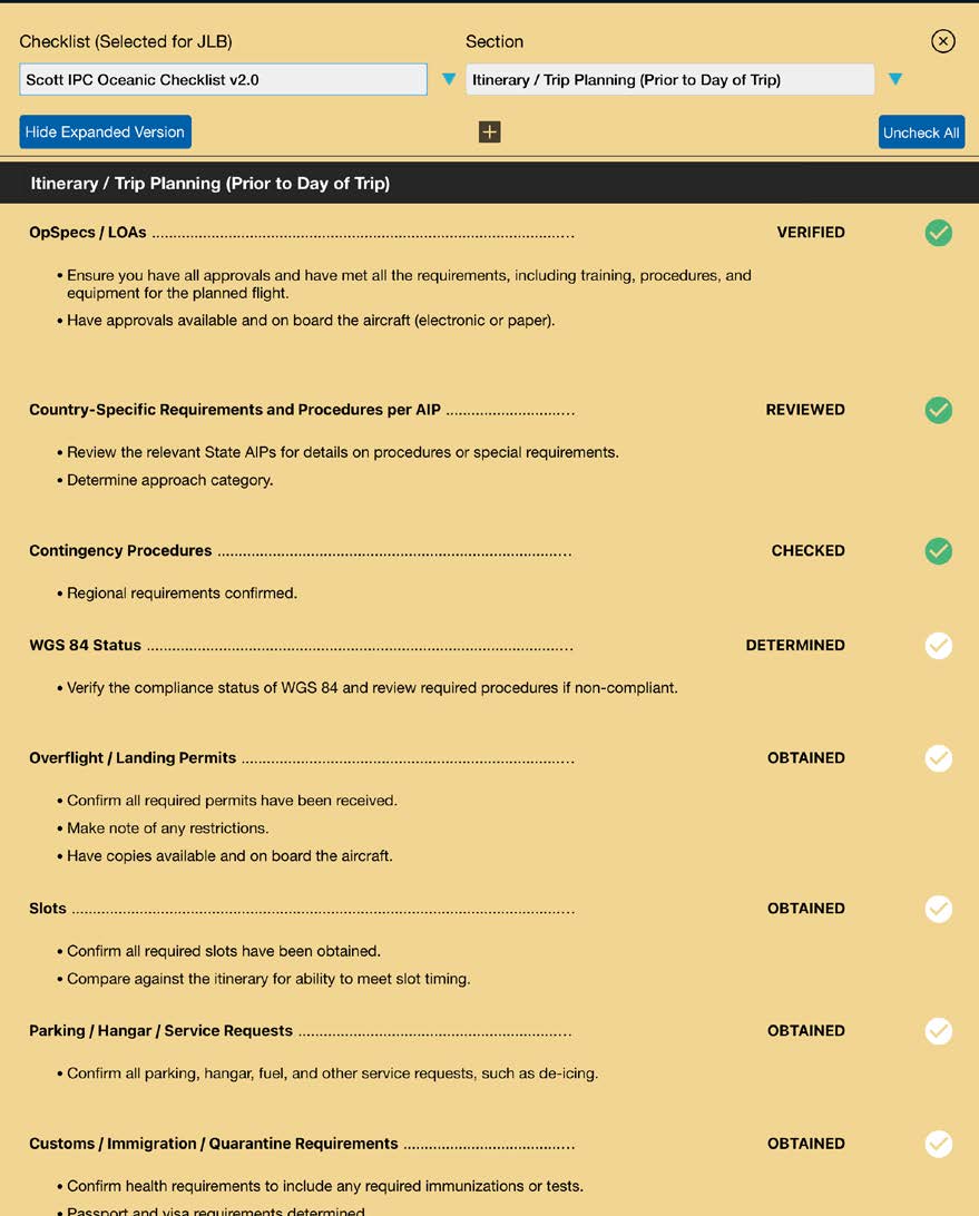 Custom checklist open in the editor showing item, action, and details fields in expanded view