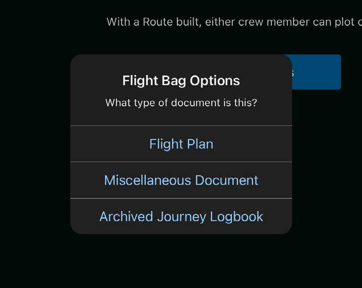 Flight Bag Options popup asking what type of document is being imported