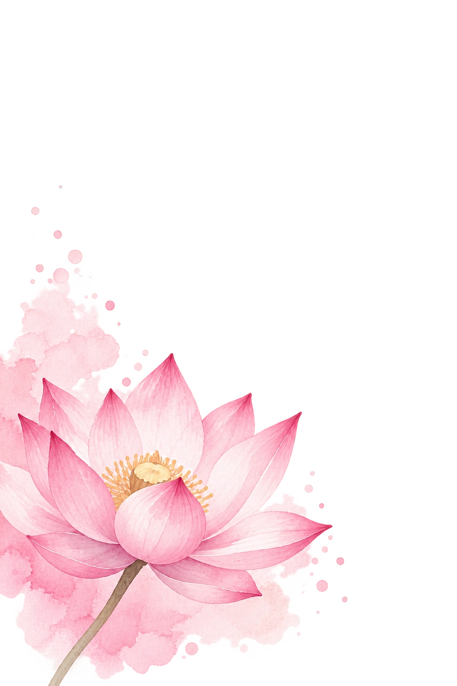 single pink and green lotus flower