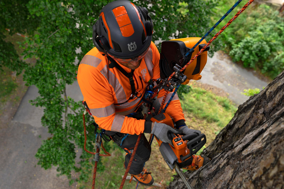 Tree service owner operating a chainsaw from above