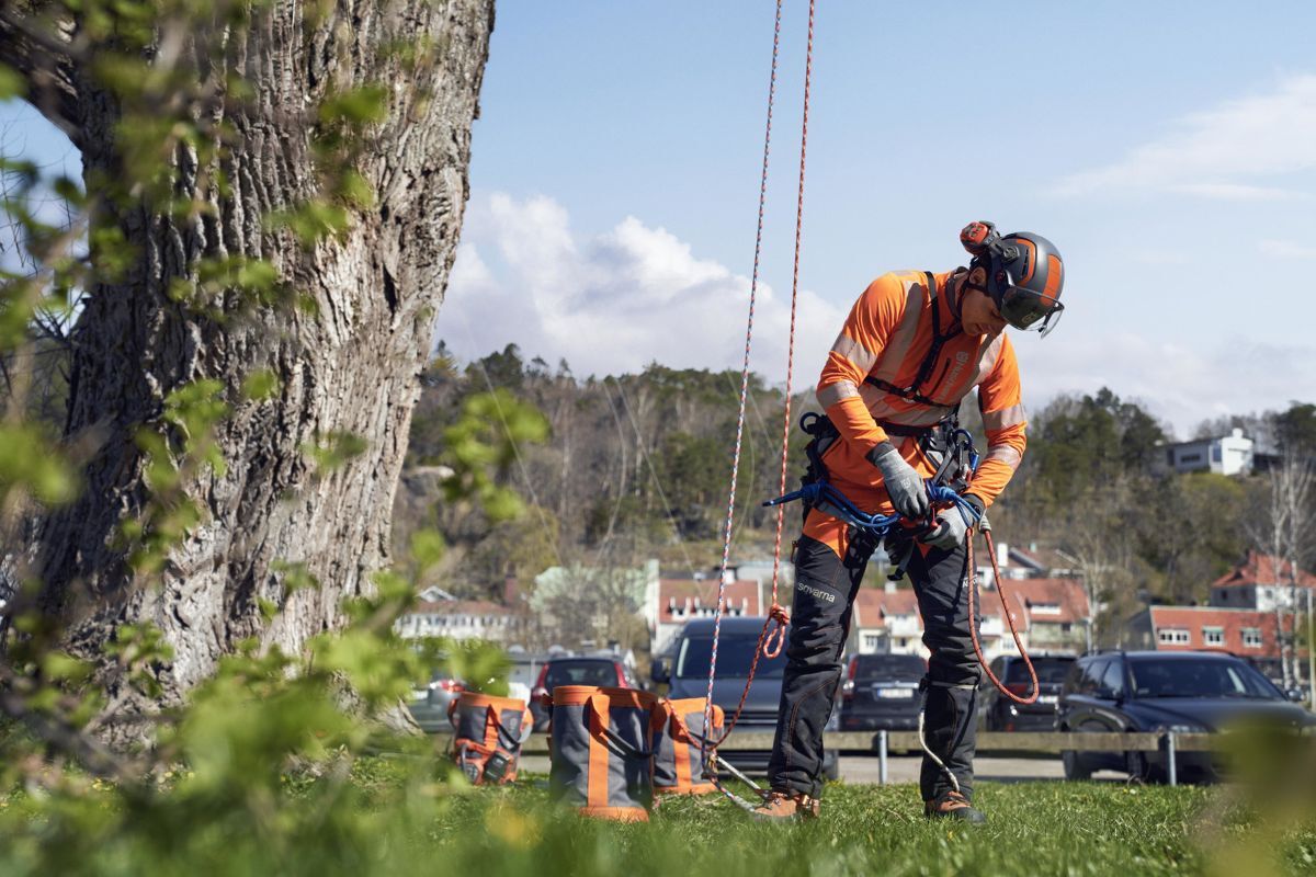 Tree service crew member working on a tree trunk