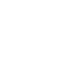 Step Icon