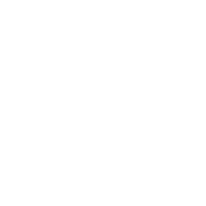 Step Icon