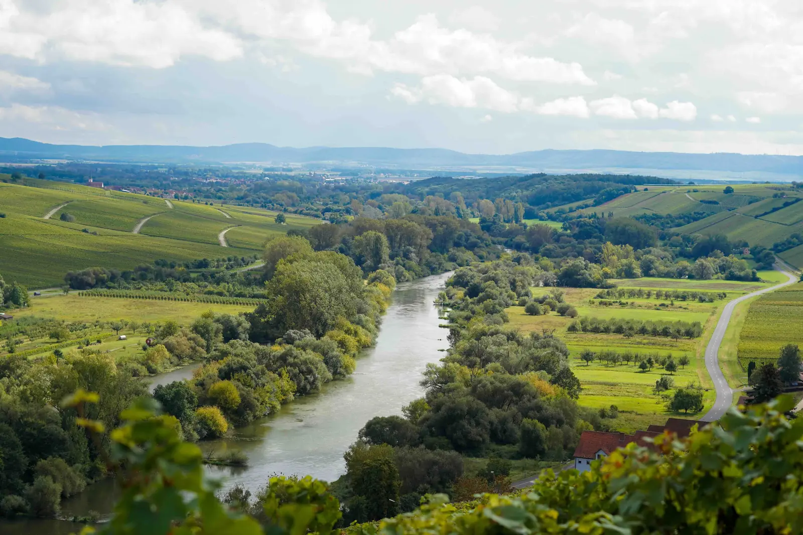 Luftaufnahme des Flusstals mit den Weinbergen im Einsatzgebiet von Michael Angel