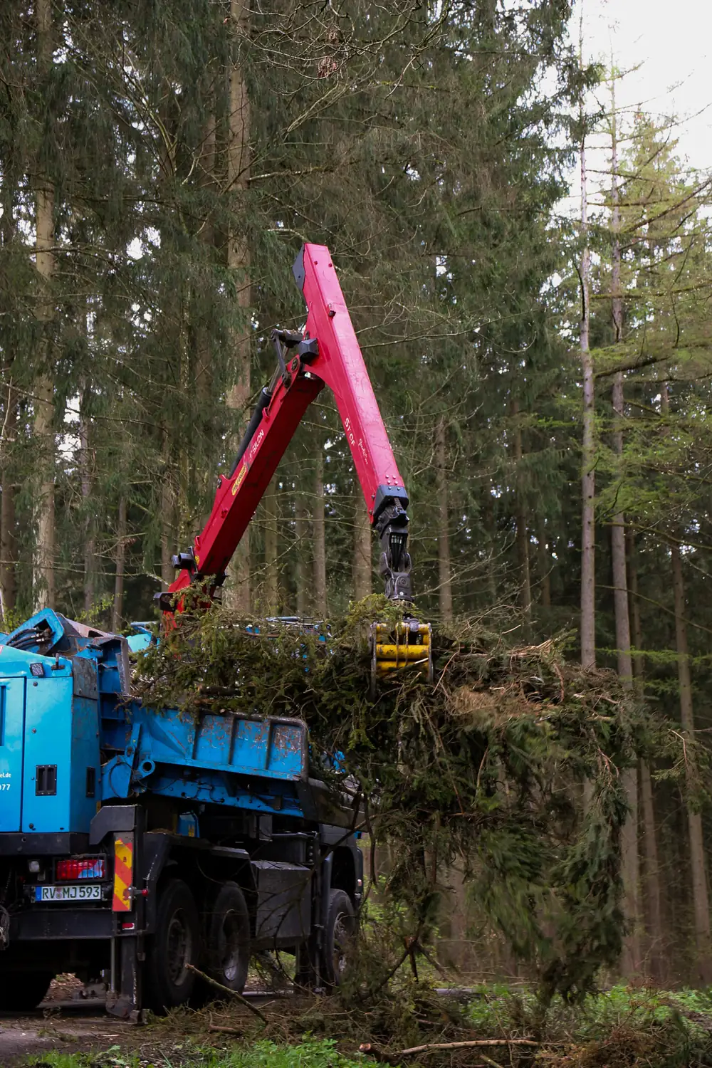 Lkw mit Ladekran beim Verladen von Holz