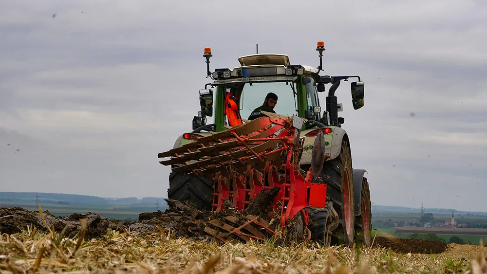 Traktor beim Verdichten des Fahrsilos