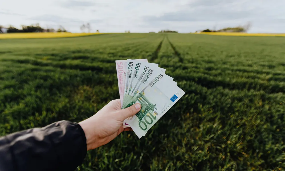 Hand mit Geldscheinen vor einem Getreidefeld