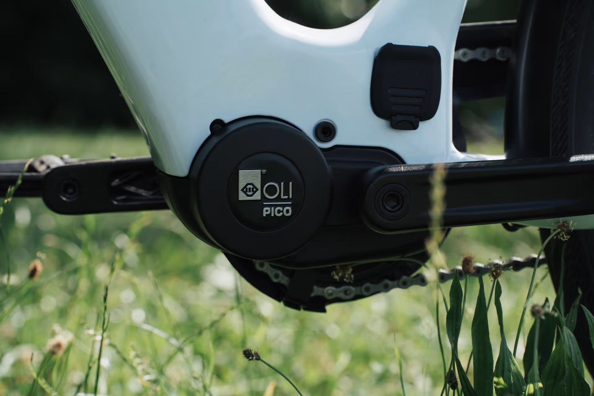 Nahaufnahme Oli Pico Motor