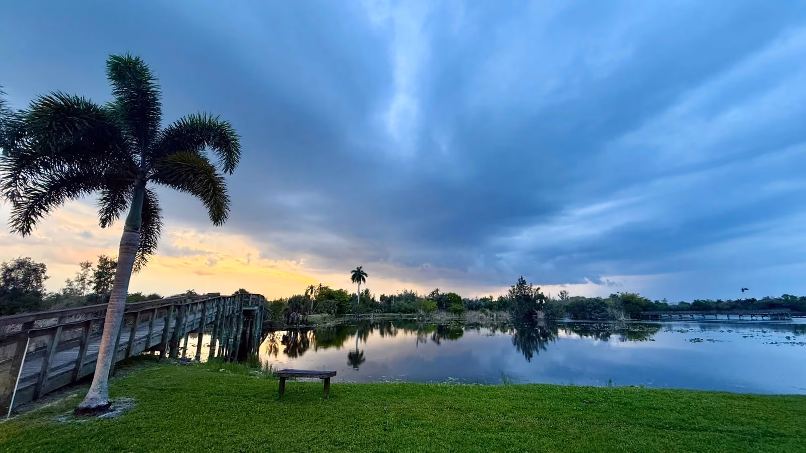 brize_tree_lake