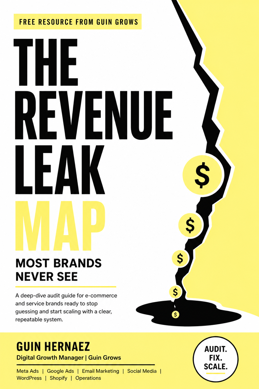 The Revenue Leak Map by Guin Hernaez