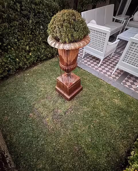 Landscaping preserved after trenchless pipe relining