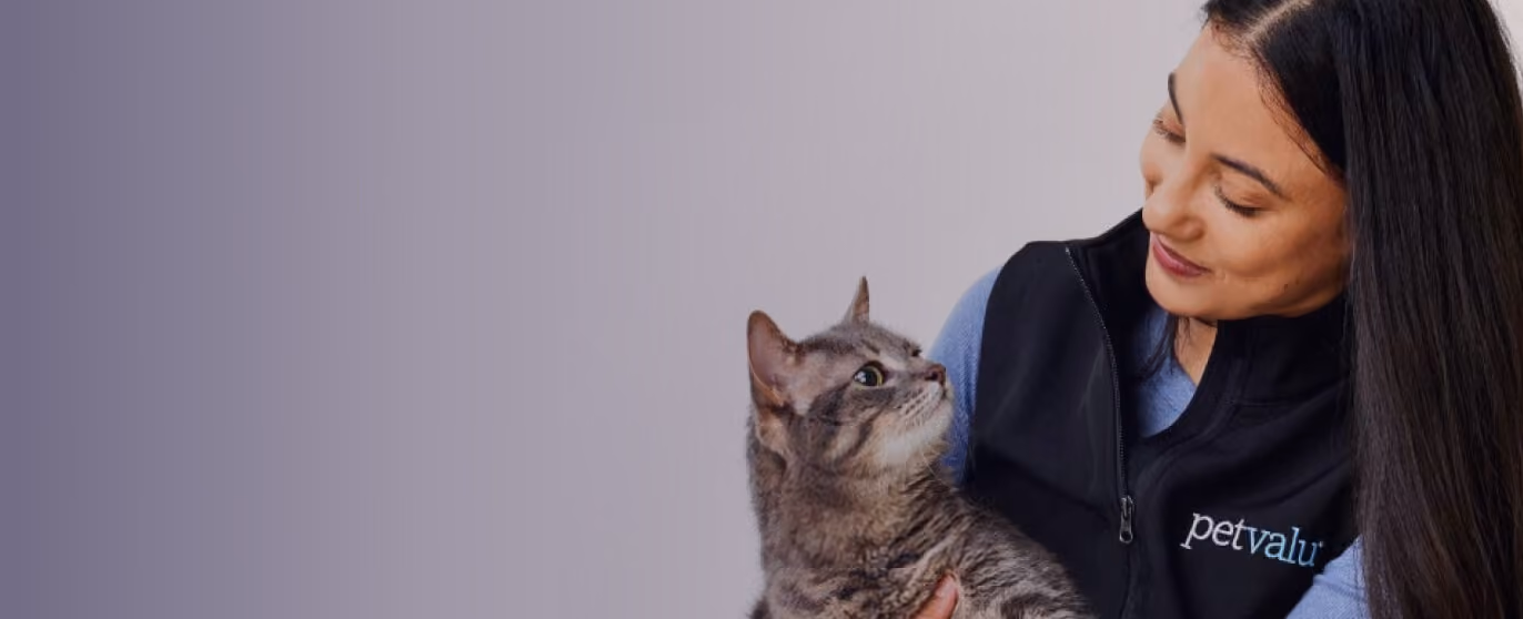 Pet Valu customer story thumbnail