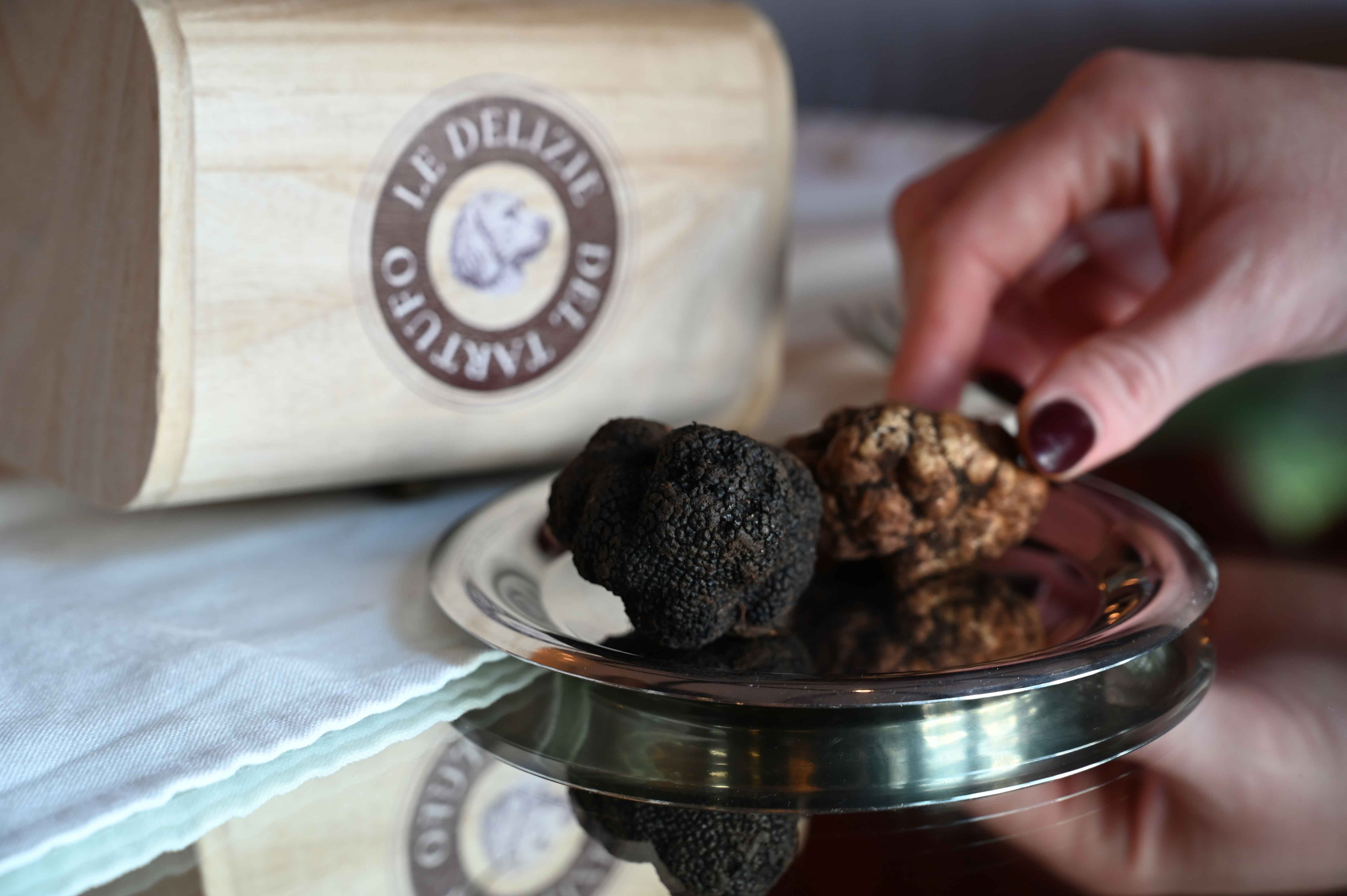 Truffles beside a Le Delizie del Tartufo presentation box
