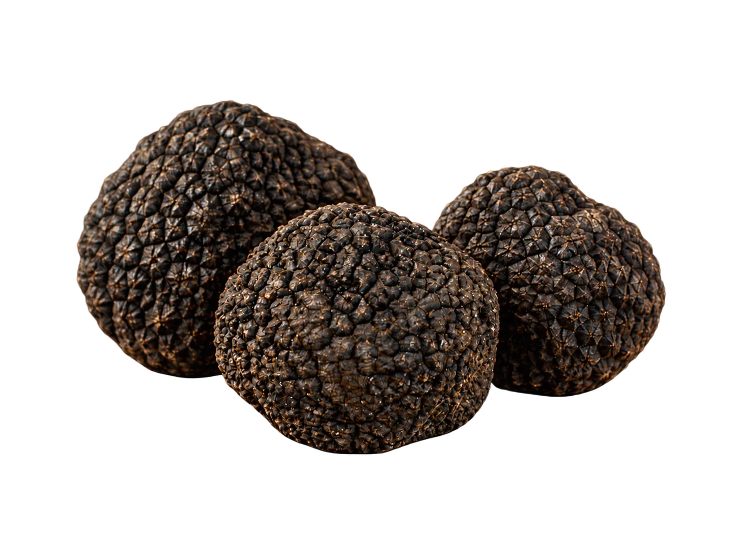 Black Winter Truffle "Nero Pregiato"