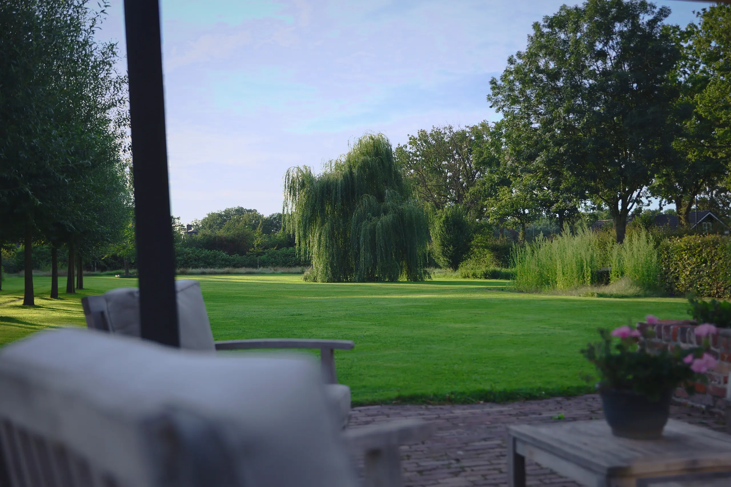 Uitzicht vanaf een overdekt terras op een strak gazon met treurwilg en border.