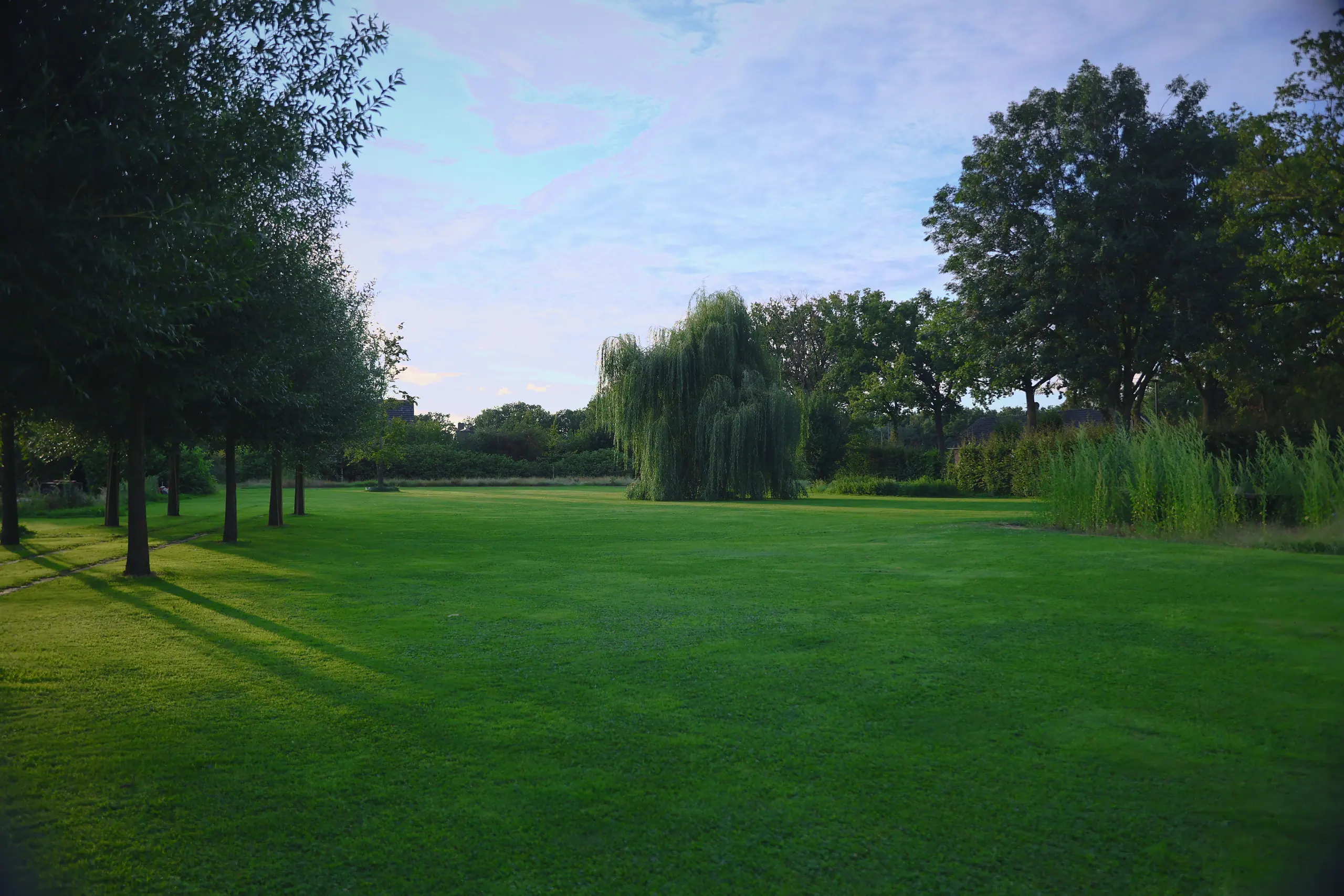Ruim gazon omzoomd door bomen en een treurwilg in het avondlicht.