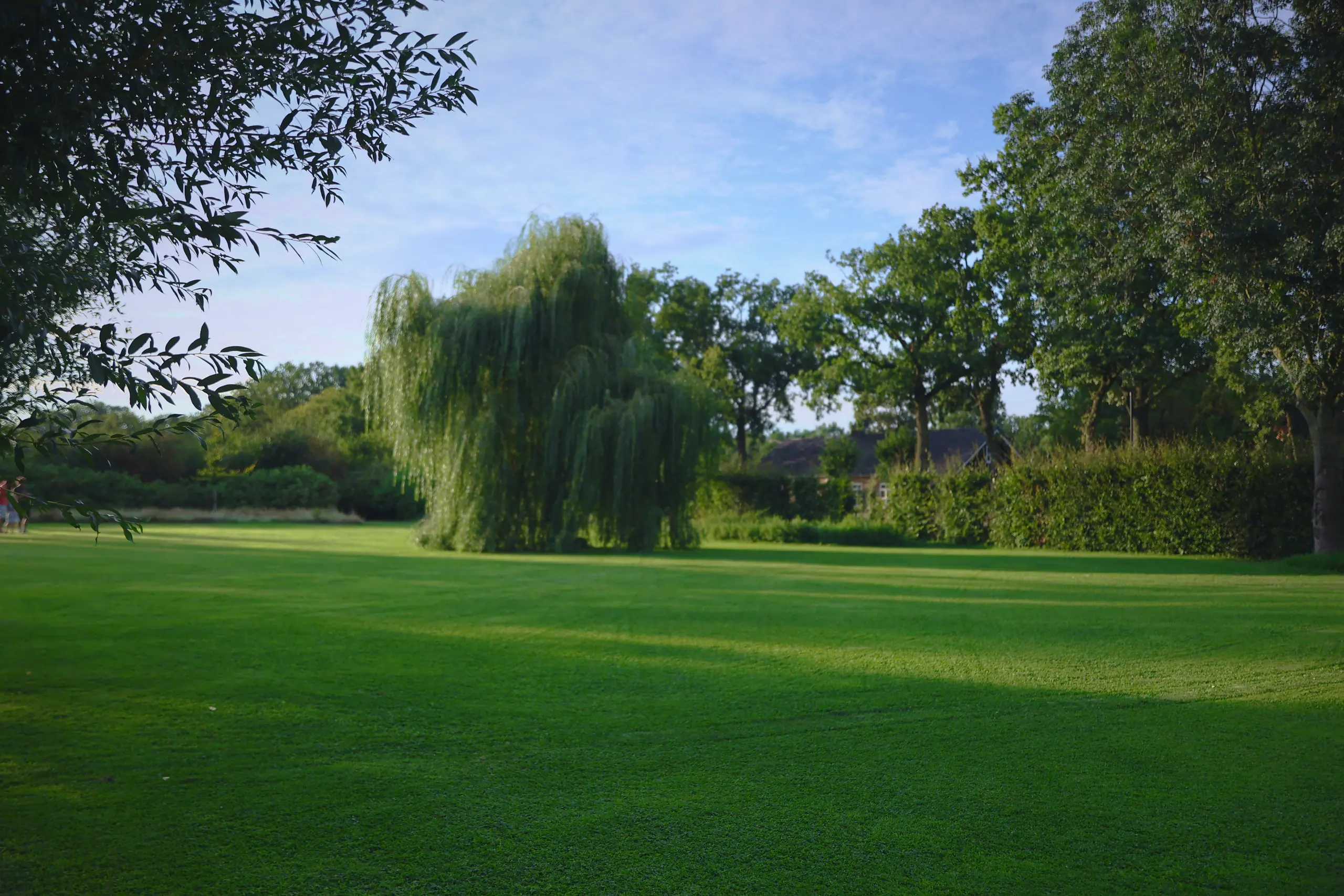 Landschap Asten