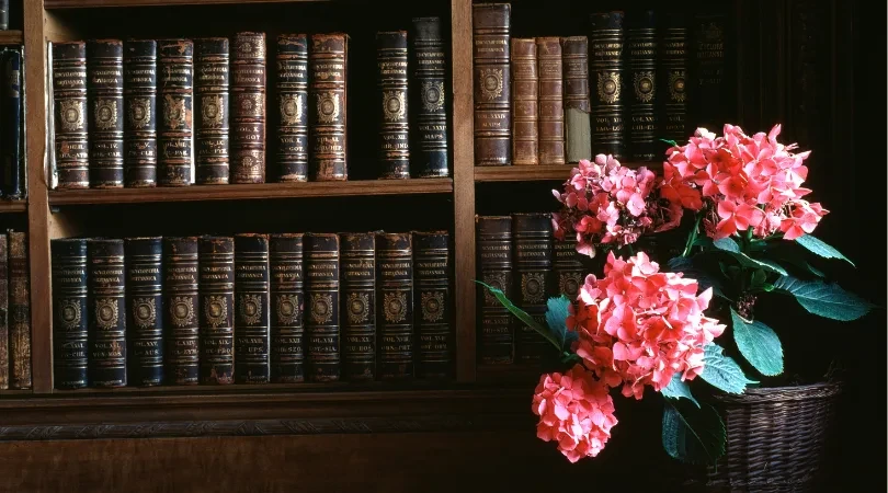 Books and flowers