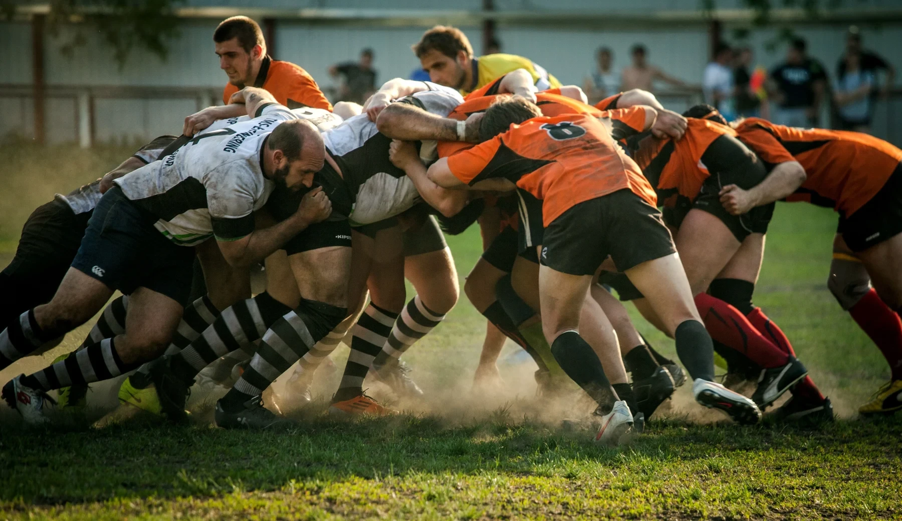 Rugby players on the field