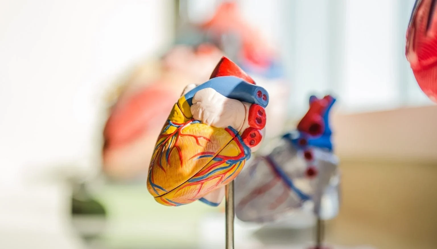 Studying Medicine in the UK