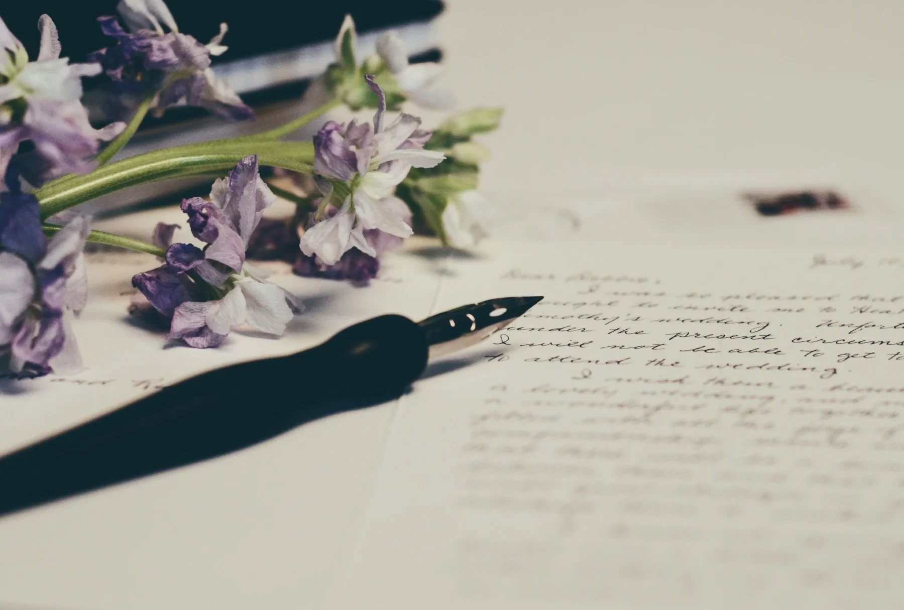 Famous Poetry Quotes Explained