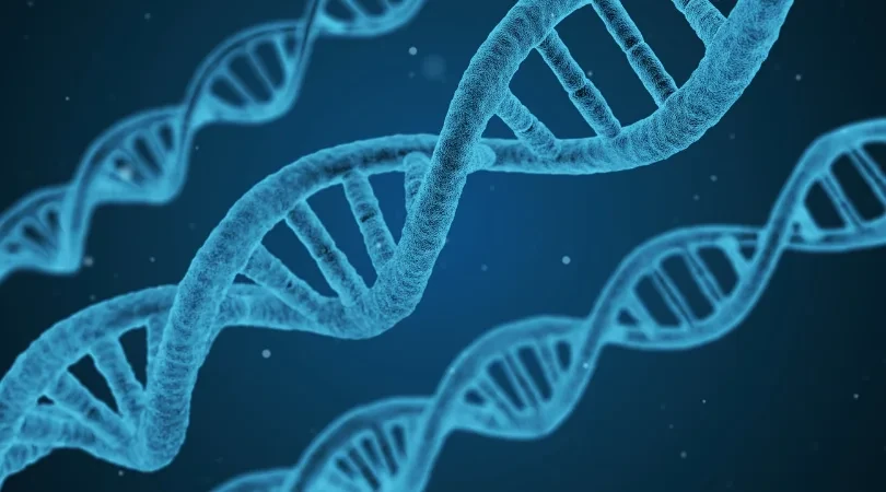 DNA