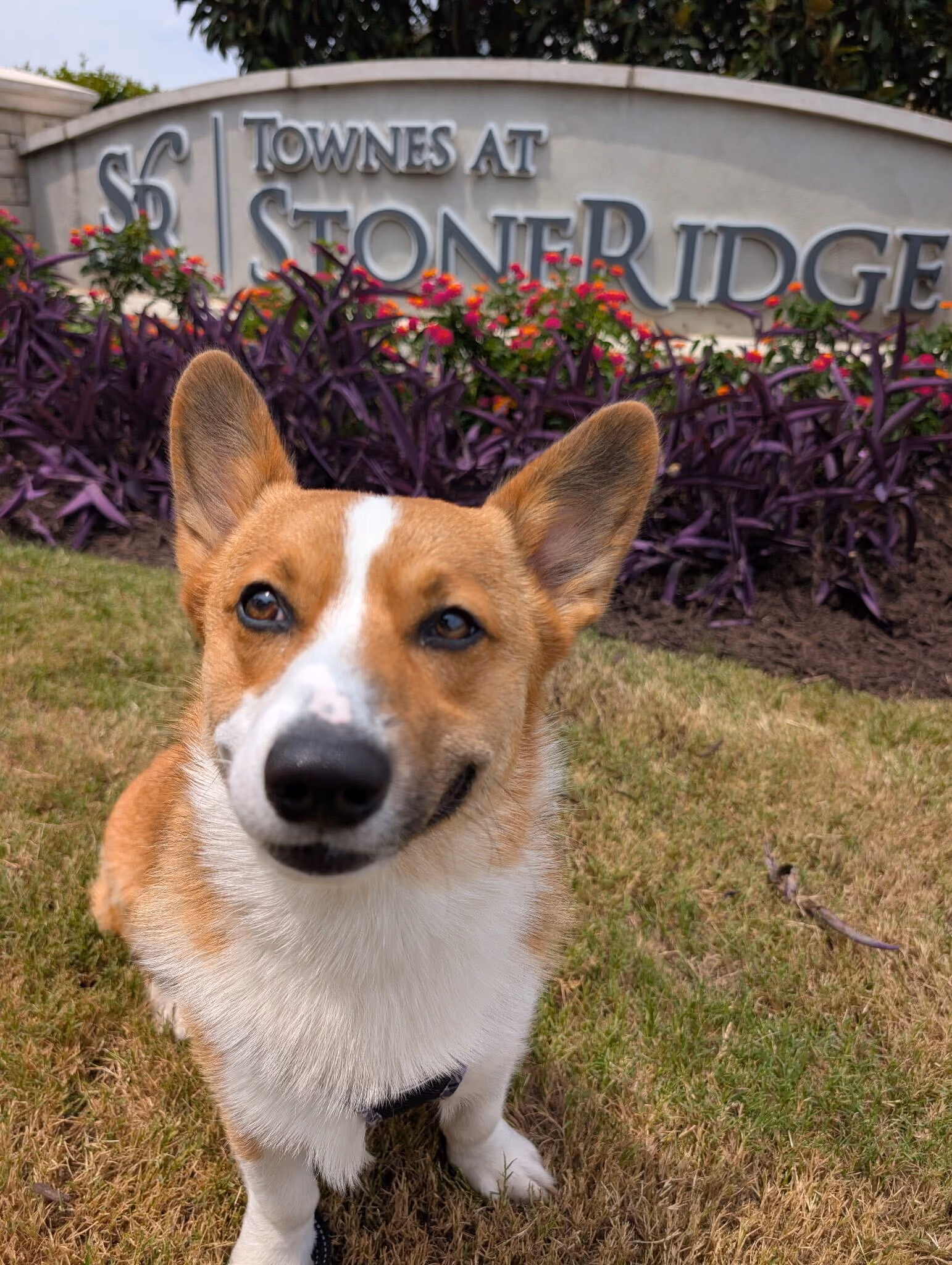 Eugene