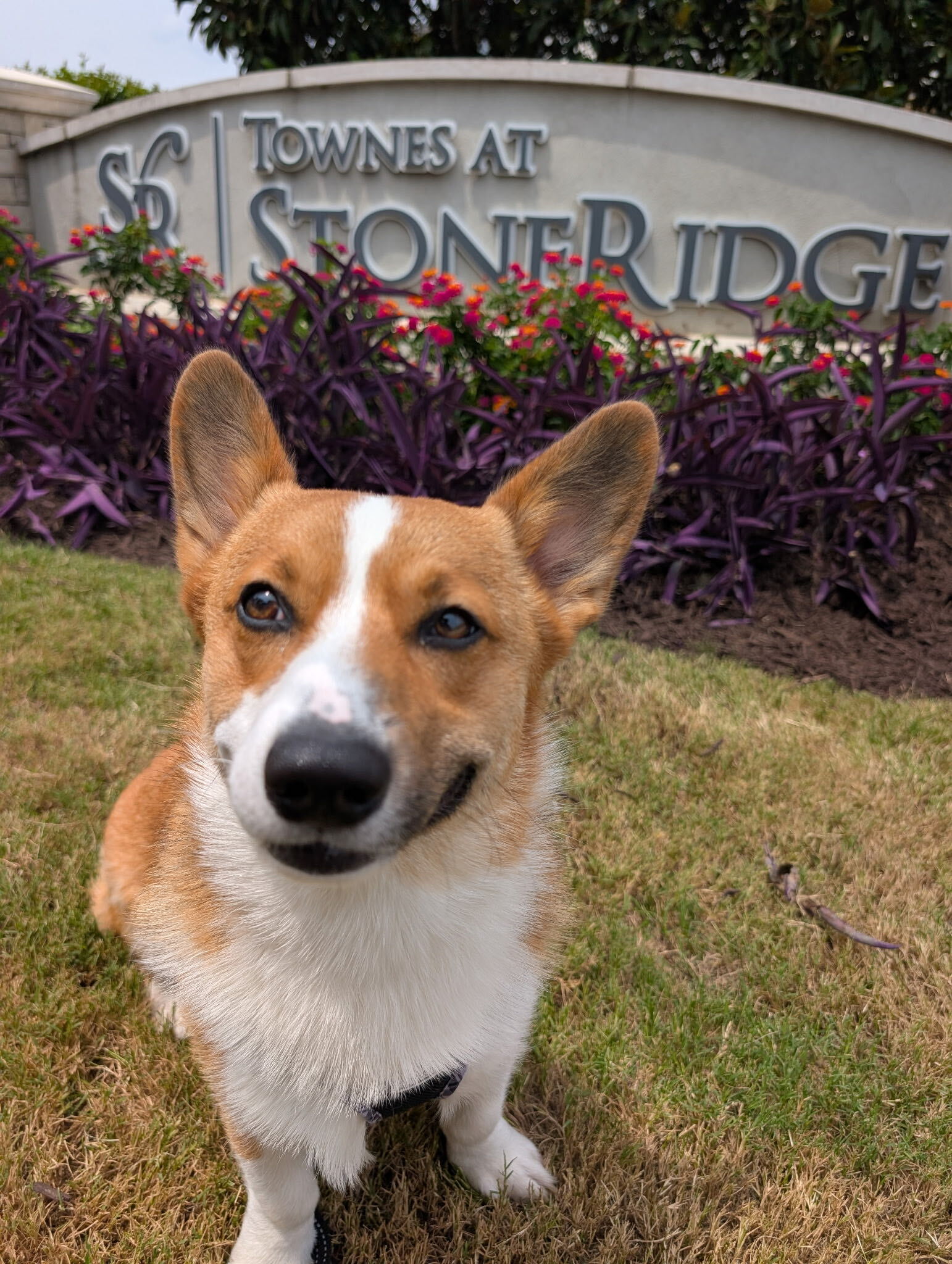Eugene
