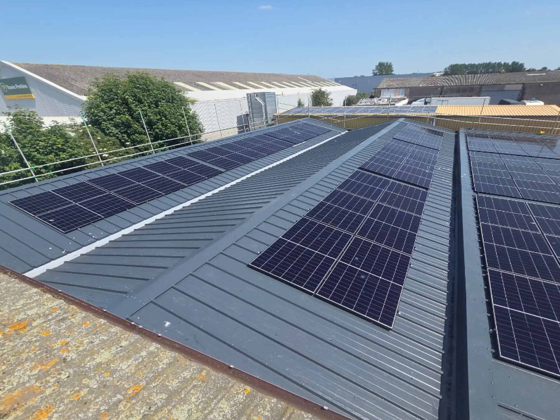 New dark grey metal roof slopes fitted with solar panels at Gibson & Goold, Ayr, beside scaffolding and trees
