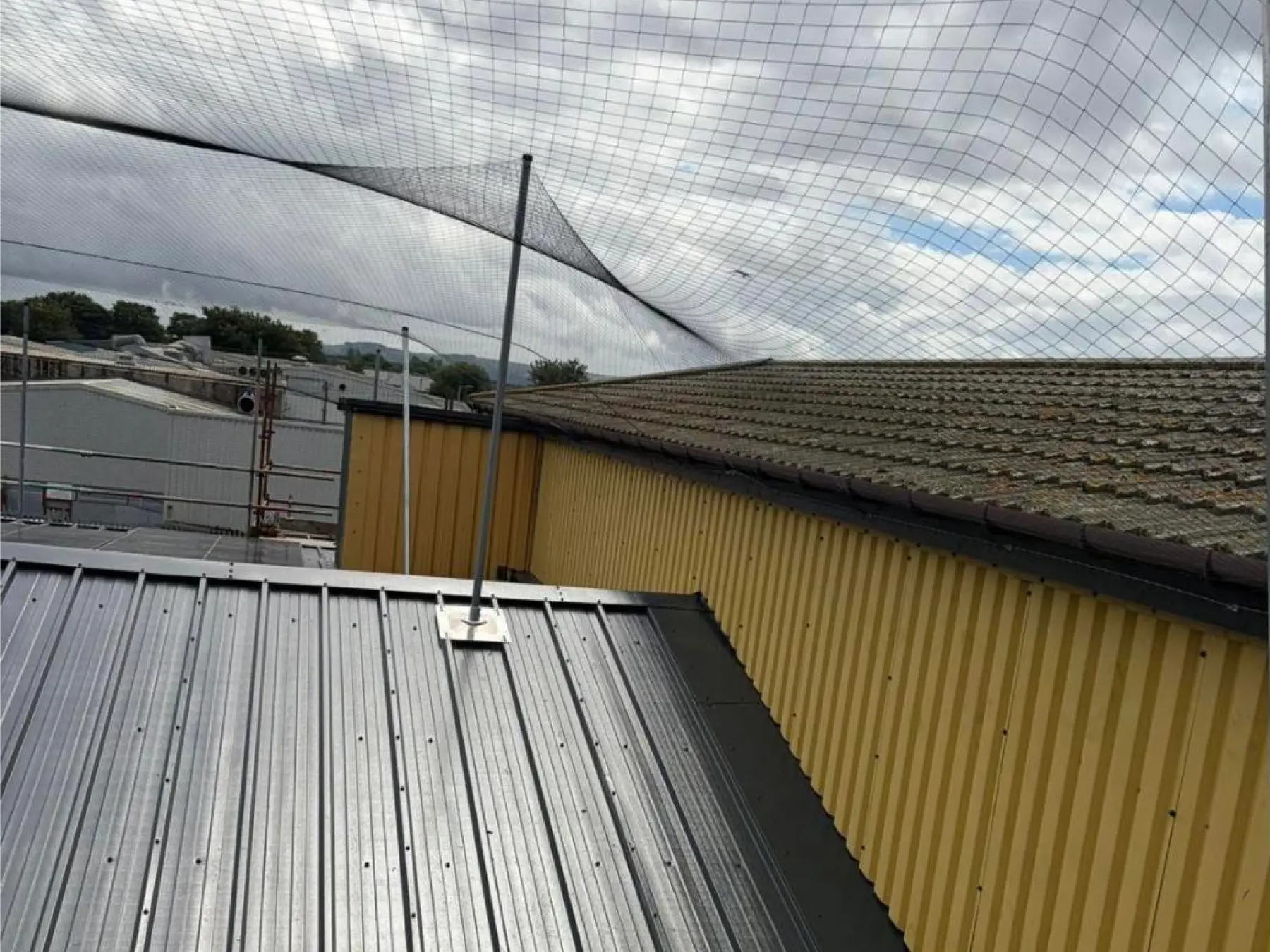 Netting on poles above a new grey profiled metal roof at Gibson & Goold, Ayr, beside yellow wall cladding and a tiled roof