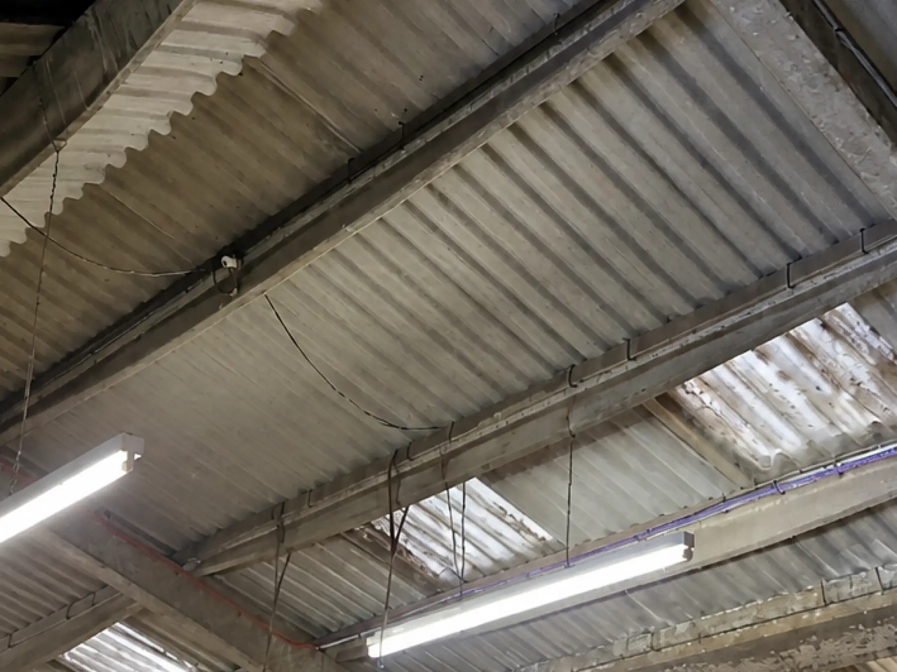 Underside of the corrugated asbestos cement roof sheets and concrete purlins at Gibson & Goold, Ayr
