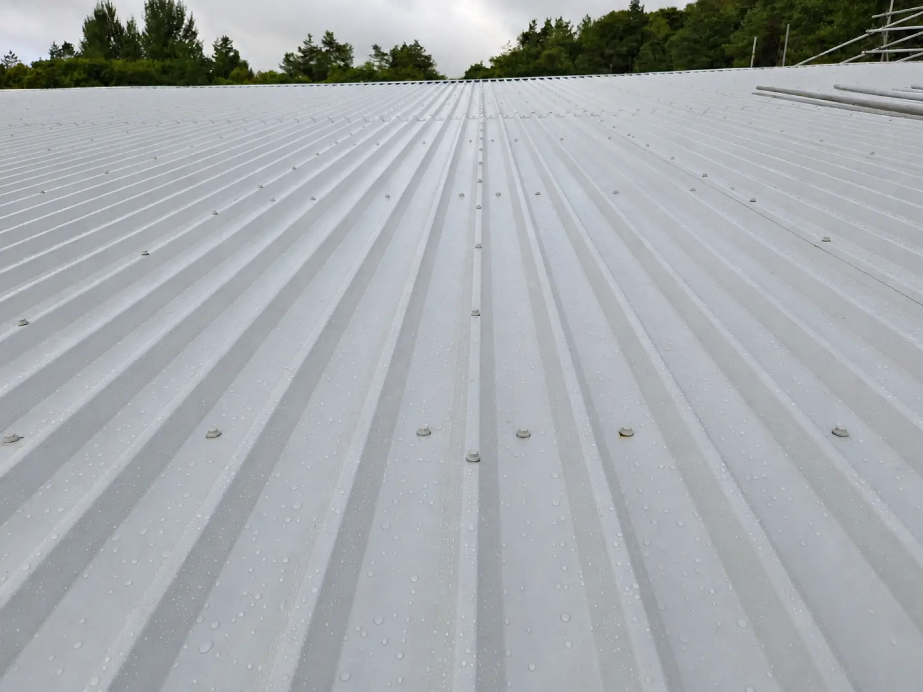 New light grey metal sheets on the Phoenix Medical roof in East Kilbride, with raindrops, fixings and scaffold tubes