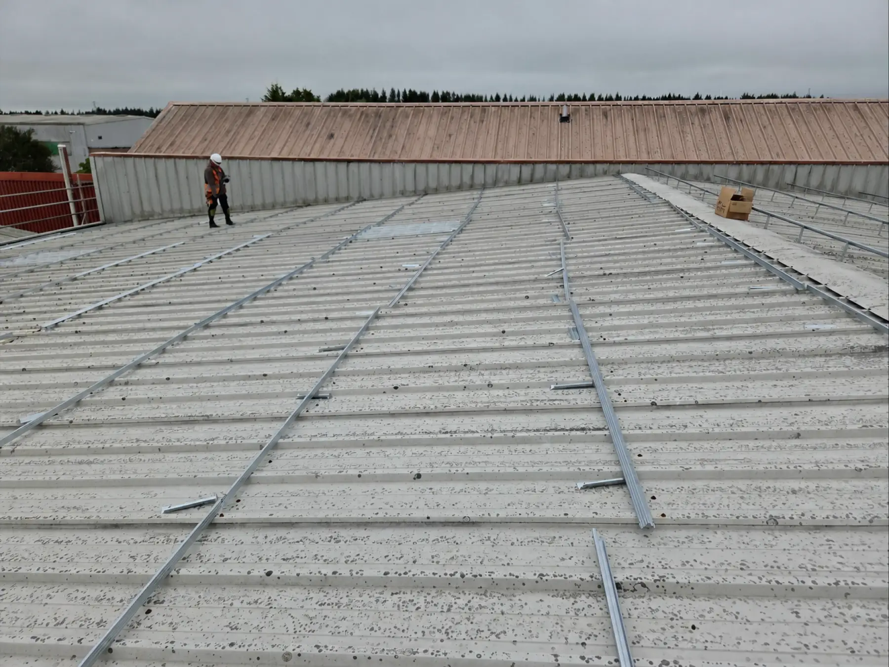 Roofer on the old profiled metal roof with spacer rails being laid out across it at Phoenix Medical, East Kilbride