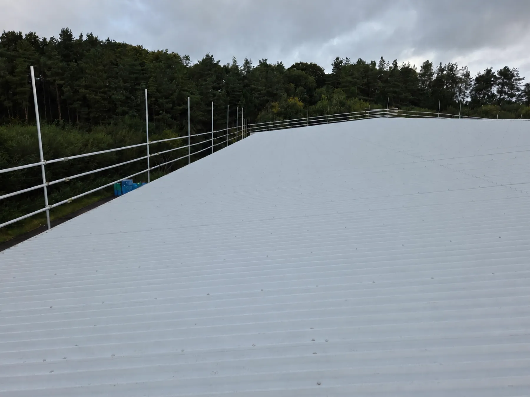 Light grey profiled metal roof at Phoenix Medical, East Kilbride, with scaffold edge protection and trees behind
