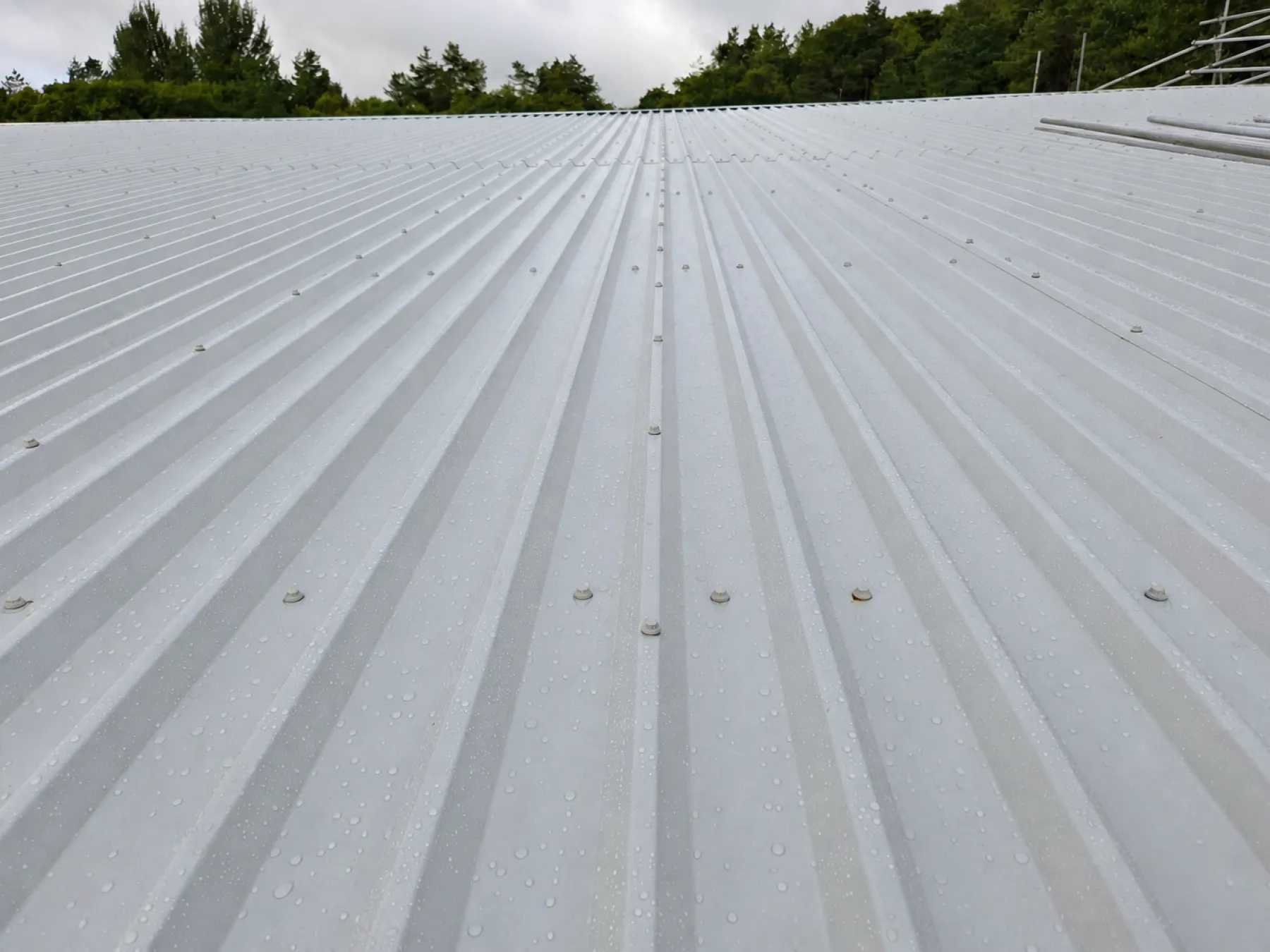 Light grey profiled metal roof sheets with fixings, wet after rain, during overcladding at Phoenix Medical, East Kilbride