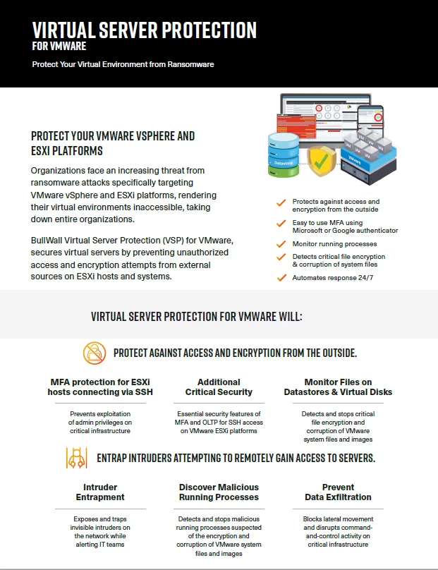 Virtual server protection image of the first page of the flyer