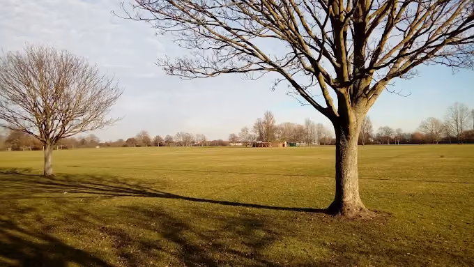 Central Park, Dagenham