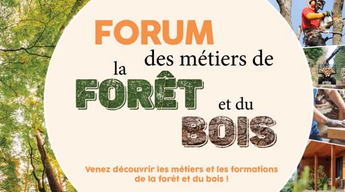 Forum des métiers du Bois et de la Forêt