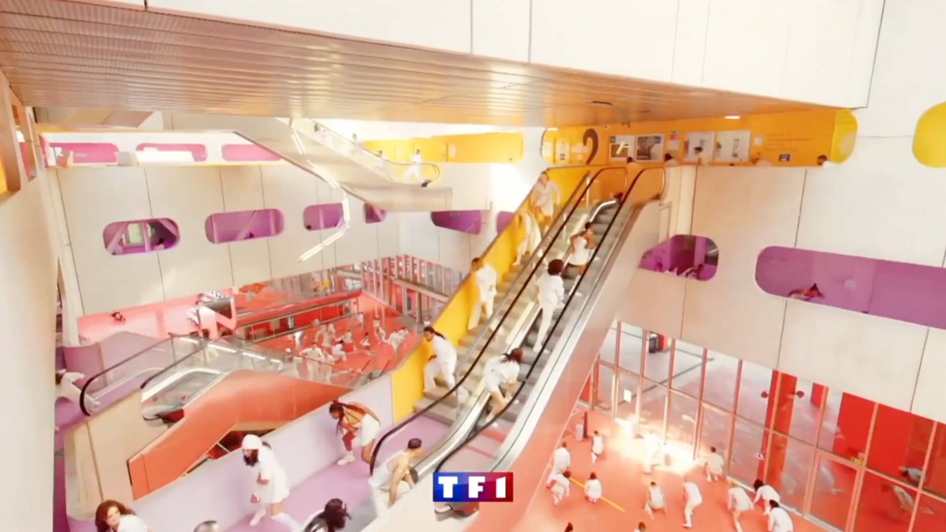 DANSE AVEC LES STARS | TF1
