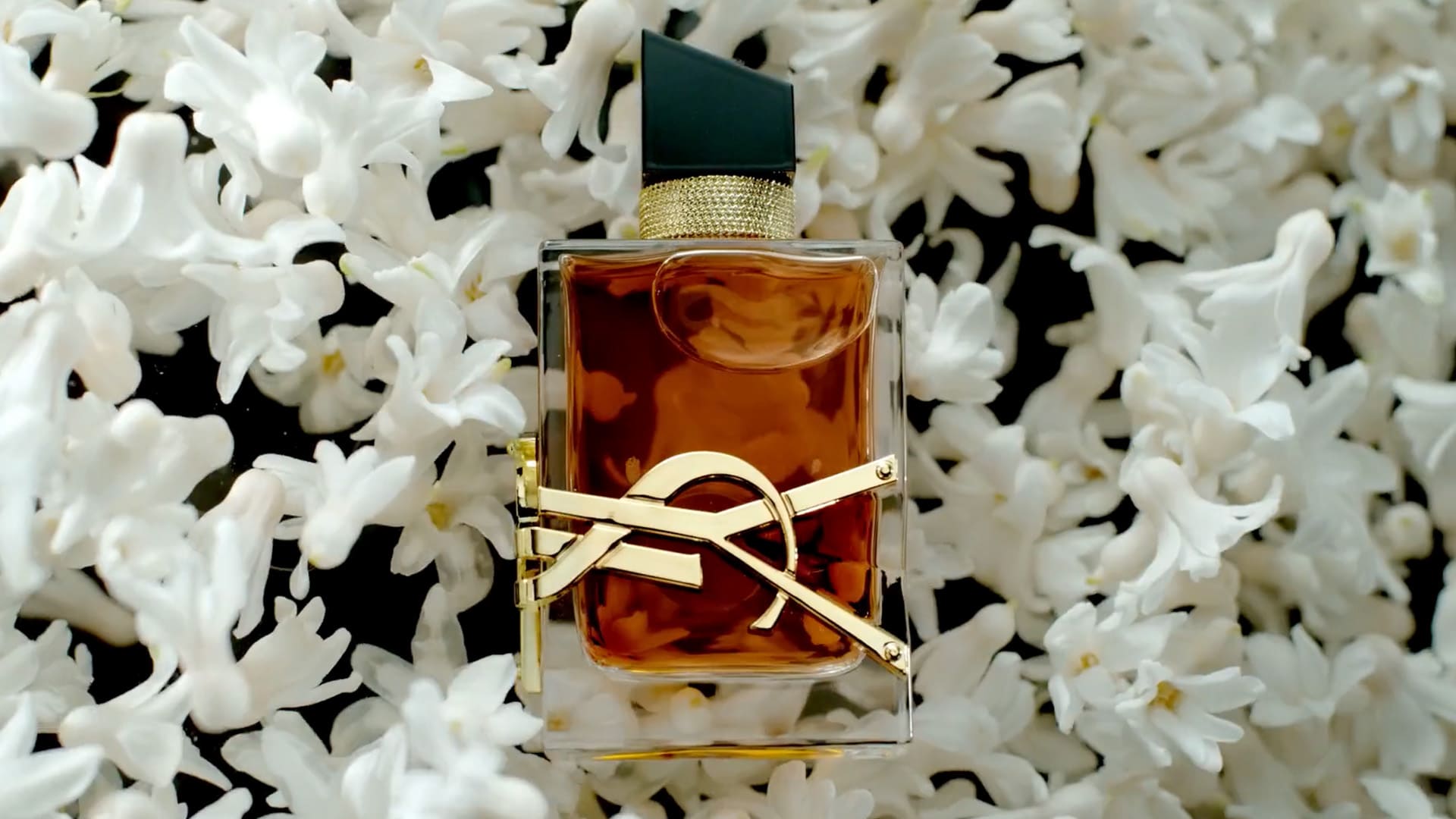 LIBRE | YSL