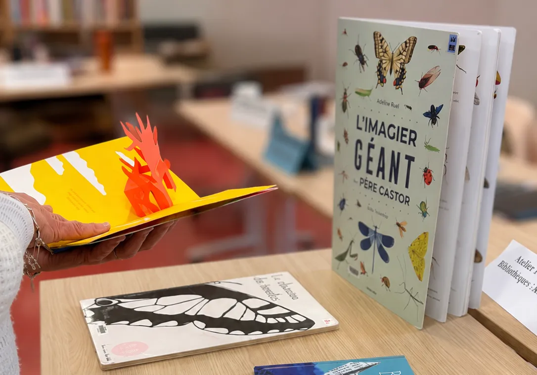 Je-lie, Table avec différents livres