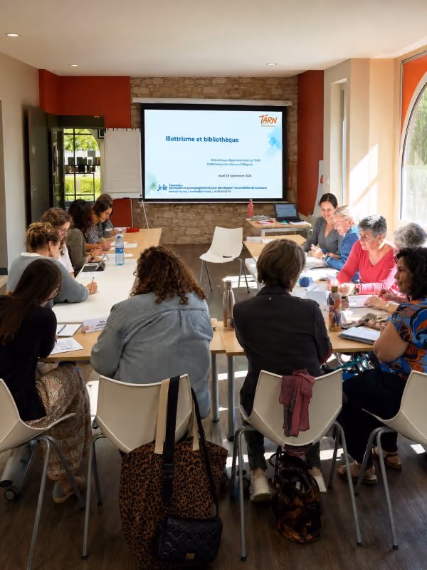 Je-lie, formation à l'illectronisme