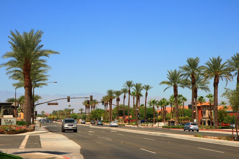 Wide street lined with tall palm trees under a clear blue sky and light traffic in a suburban area.