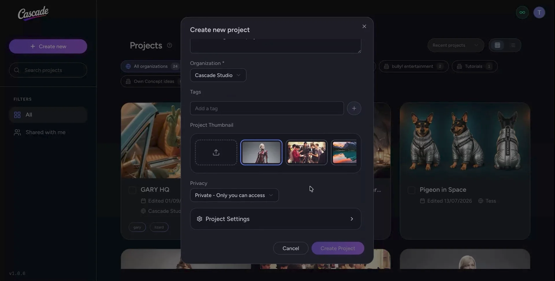 Organization set to Cascade Studio, with project thumbnail and privacy options below