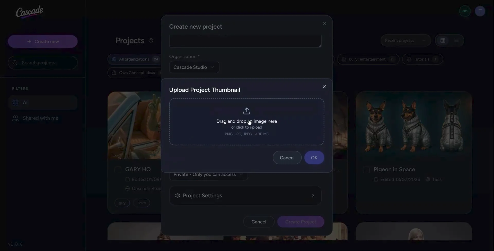Upload Project Thumbnail window for adding a custom image