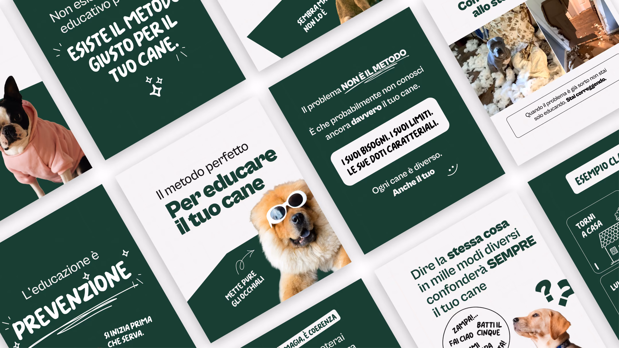 Griglia di post Instagram su educazione cinofila, con cani e casi studio
