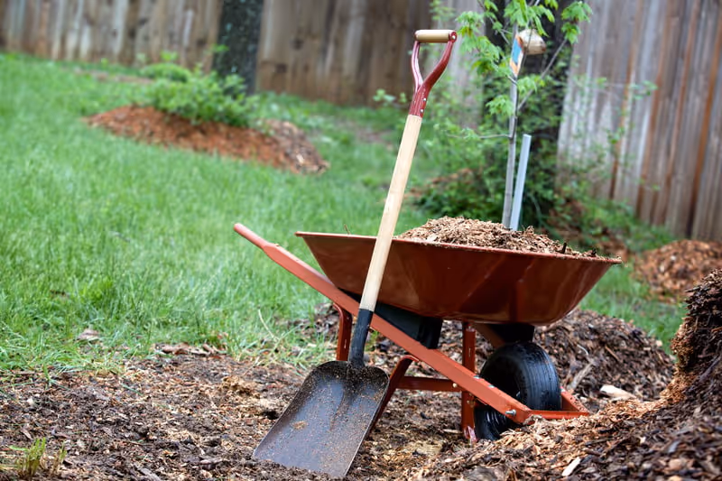Landscaping