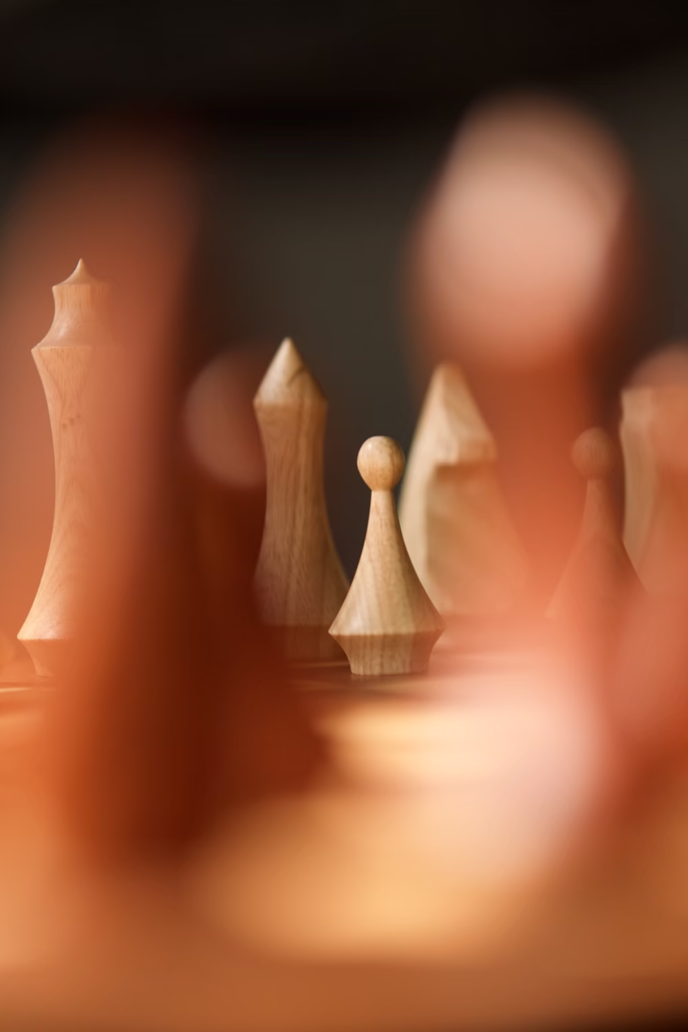 Chess — foto 11