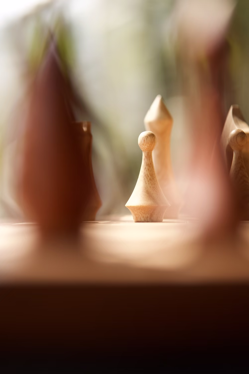 Chess — foto 10